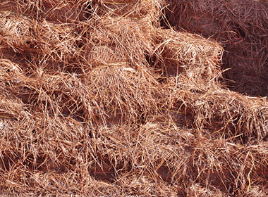 pine straw mulch florida ground cover