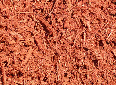 preimium Red Mulch Accordian 1